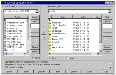 ftp.gif (35527 bytes)