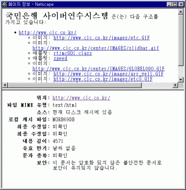 netscape01.gif (31218 bytes)