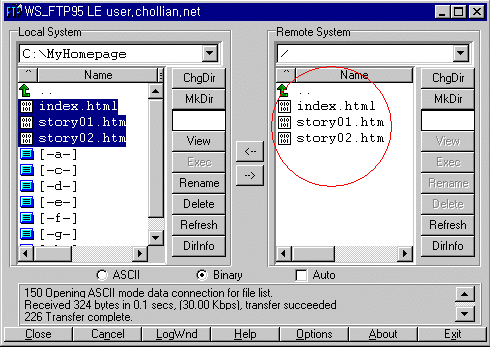 myhome16.gif (26806 bytes)