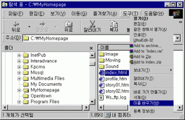 frame02.gif (33609 bytes)